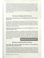 The Beautiful Names of Allah- Knowing God by His Names